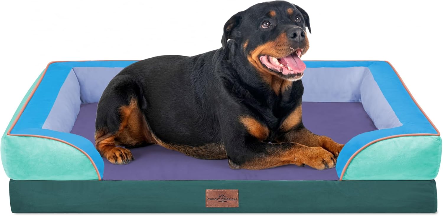 Comfort Expression Orthopedic Dog Bed for Extra Large Dogs 48x30 Inch