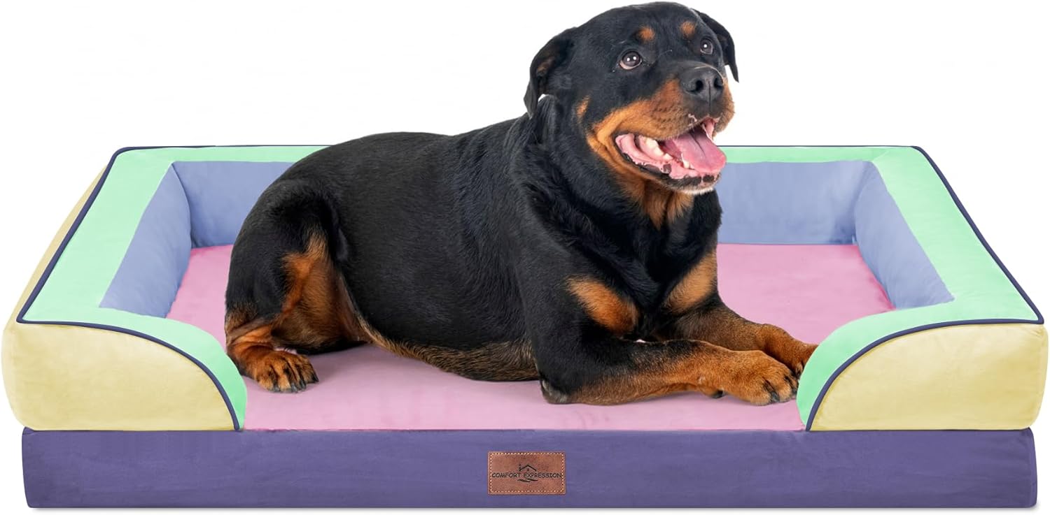 Comfort Expression Orthopedic Dog Bed for Extra Large Dogs 48x30 Inch