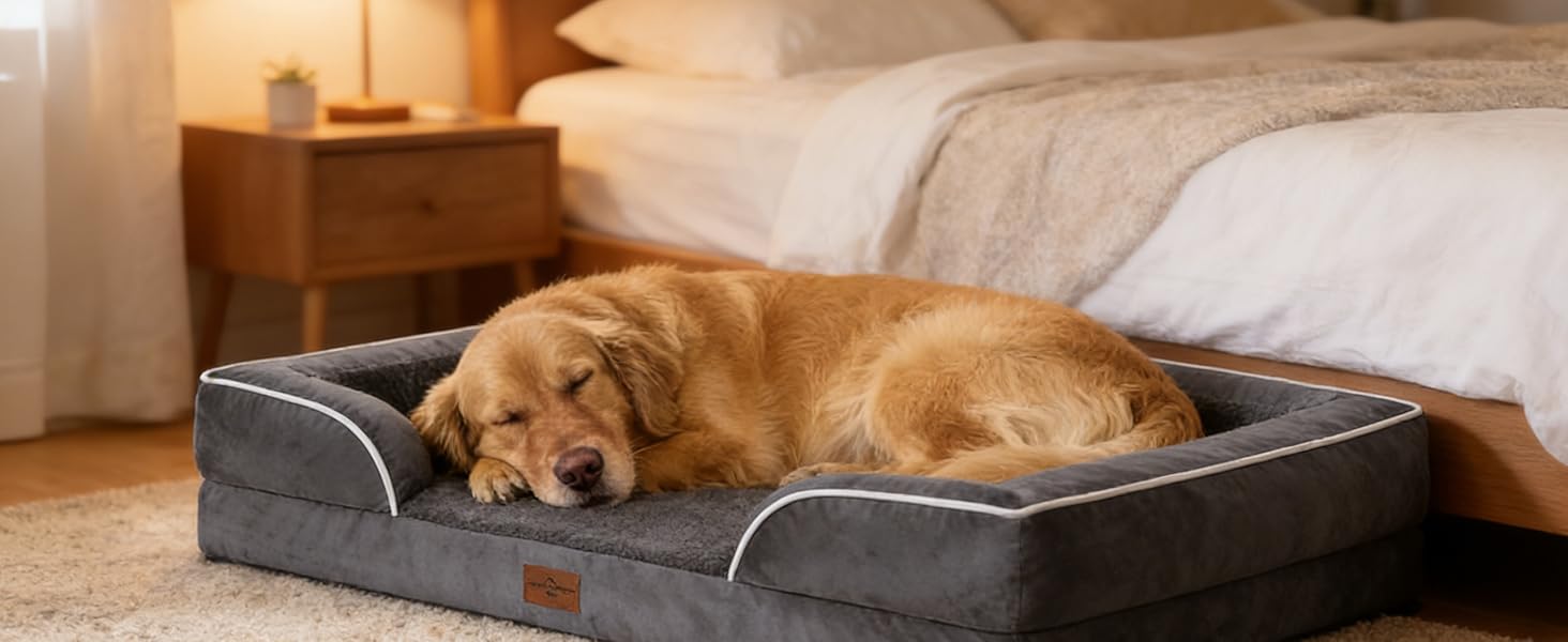 dog couch sofa bed