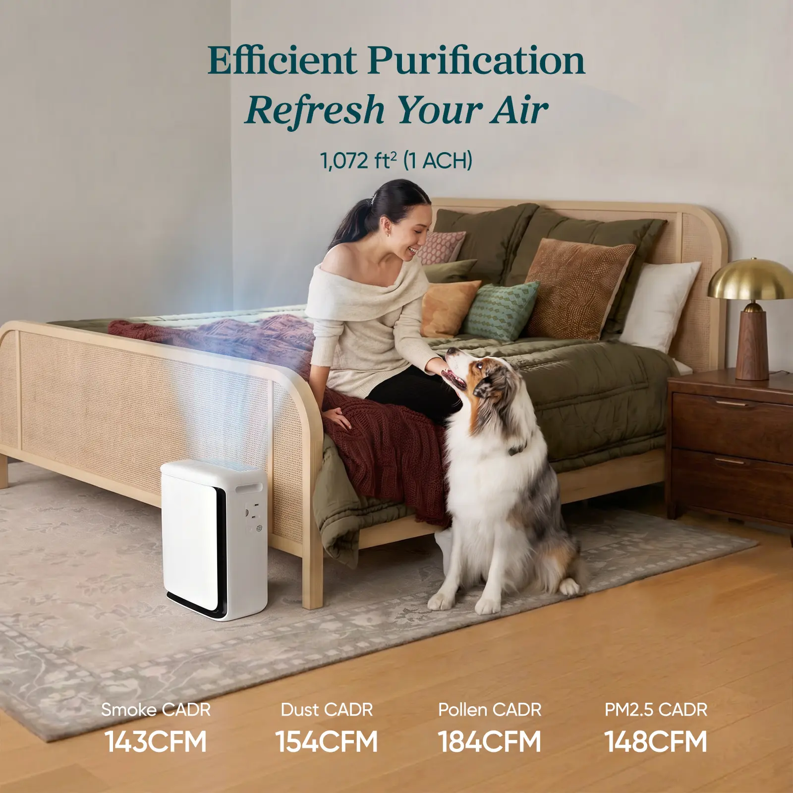 ADMQX Pet White Air Purifier