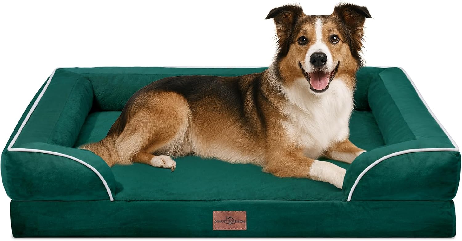 Comfort Expression Orthopedic Dog Bed for Extra Large Dogs 48x30 Inch
