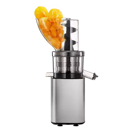 Large Feed Chute Stainless Steel Juicer – Automatic Juice & Pulp Separation System