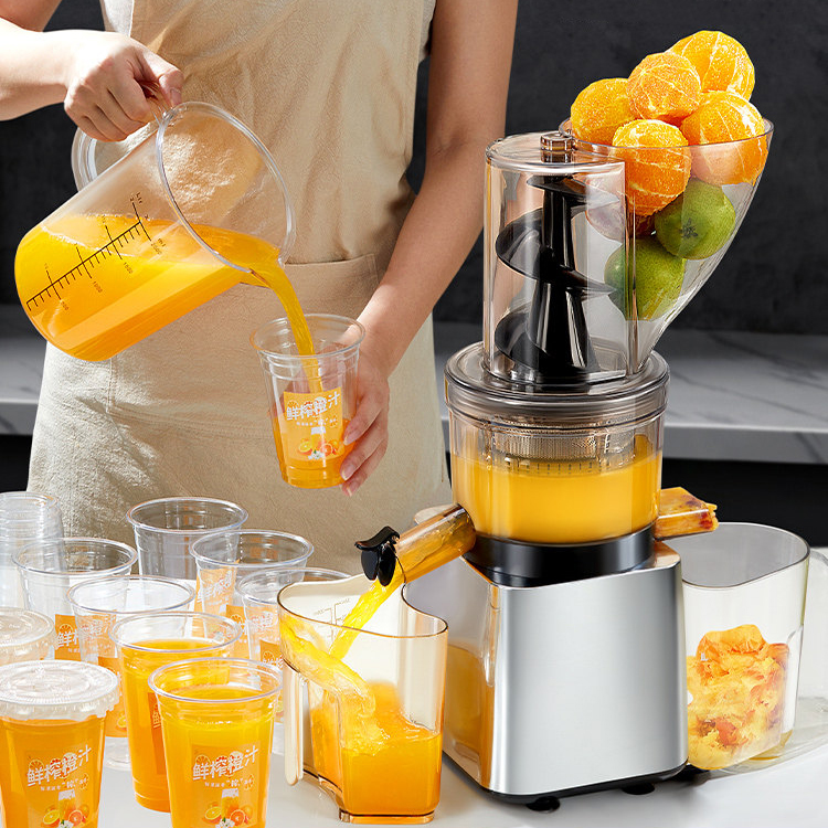 Large Feed Chute Stainless Steel Juicer – Automatic Juice & Pulp Separation System