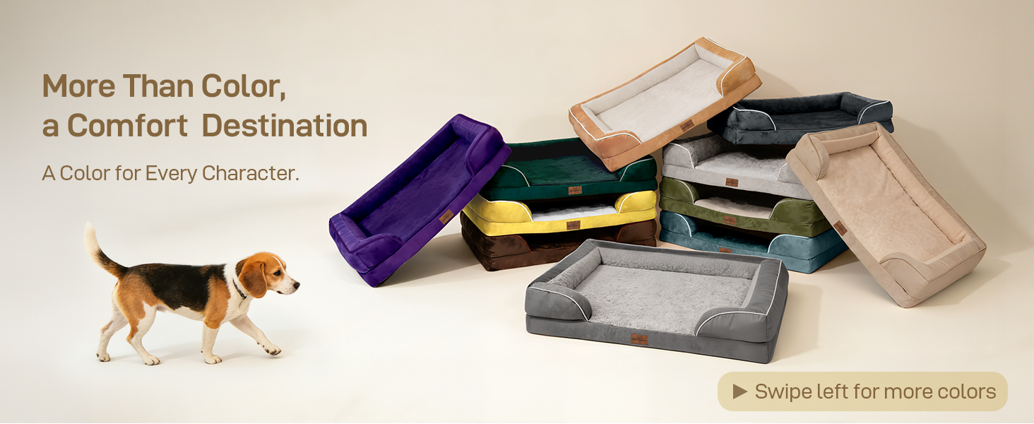 colorful dog bed