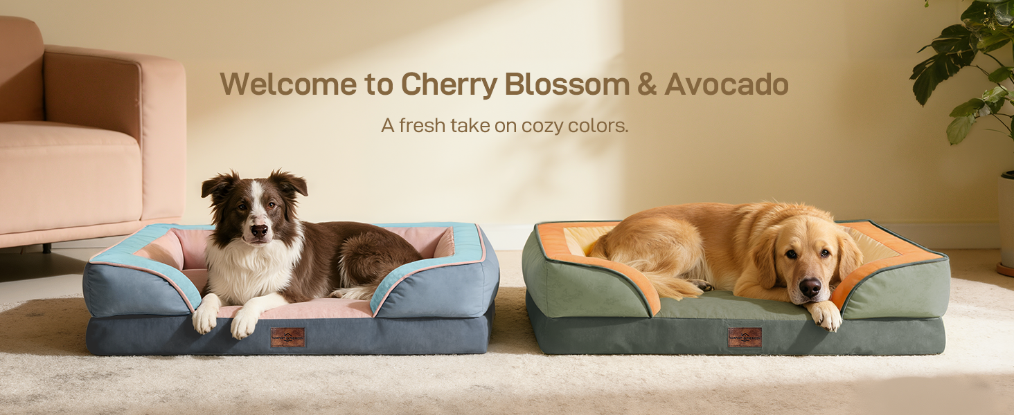 dog beds for large sized dog