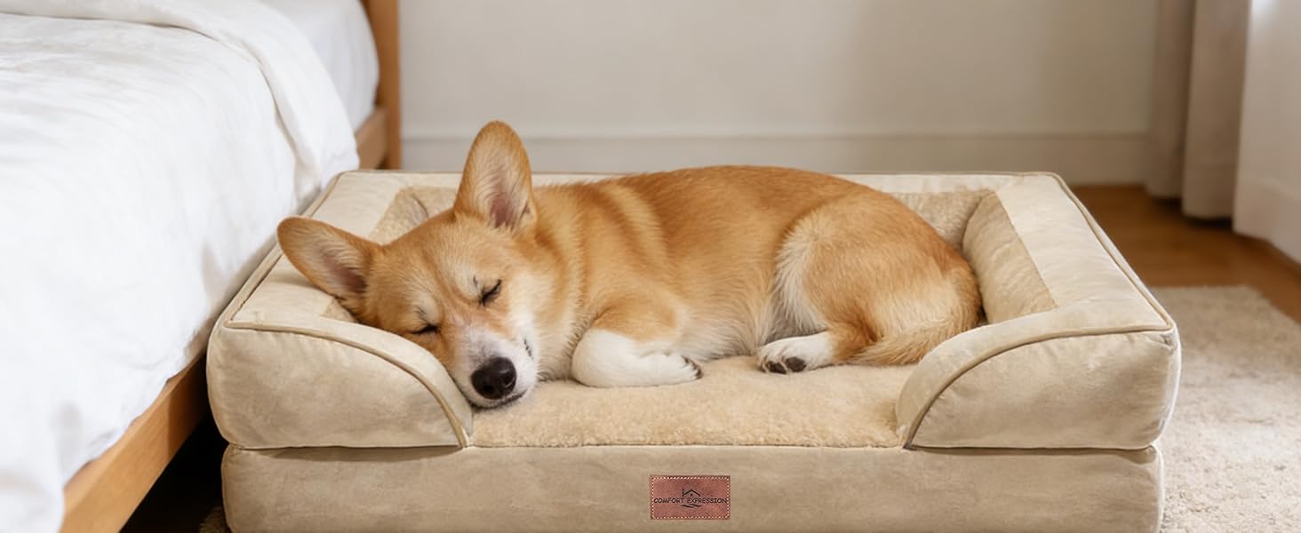 medium dog bed