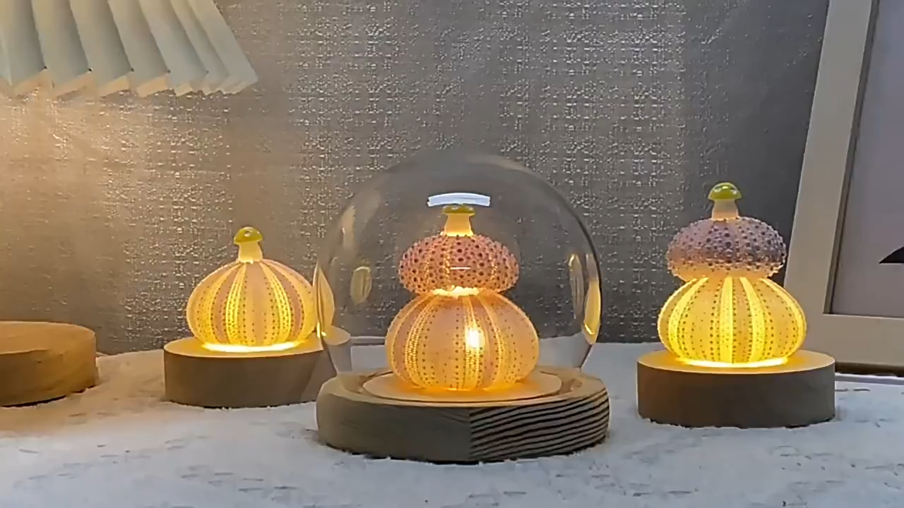 Creative DIY Seashell Mushroom Night Light – Glowing Birthday Gift for Friends, Bedroom Desktop Ornament
