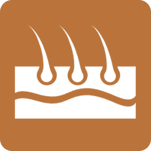 
                      Level 2 (100&deg;C)
                      For Thick/Coarse Hair
                    