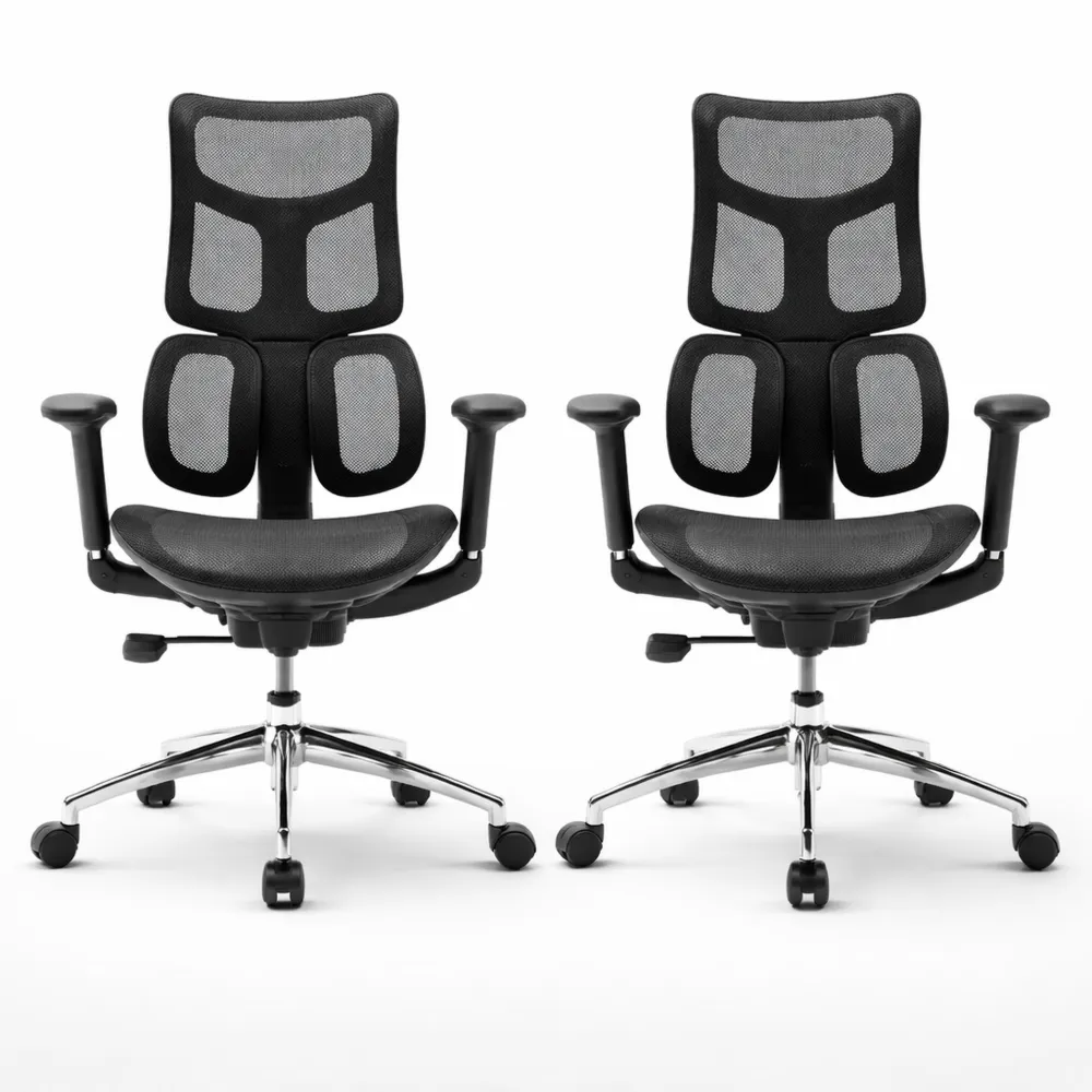 Chaise de Bureau Ergonomique avec Soutien Lombaire Dynamique