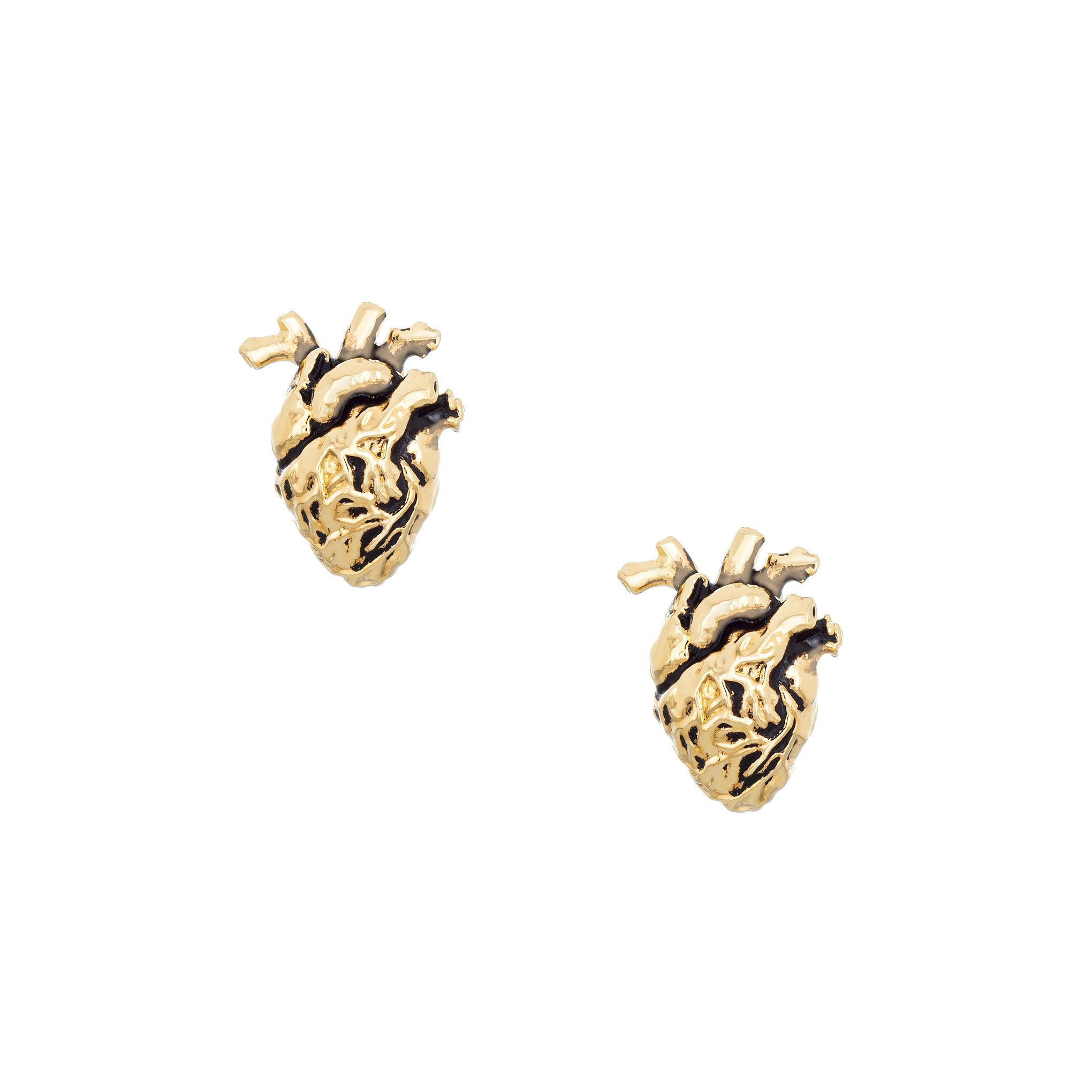 Chambers Studs-Chifina