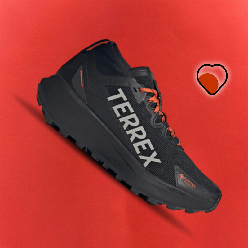 Terrex Agravic GORE-TEX Trail Running Shoes