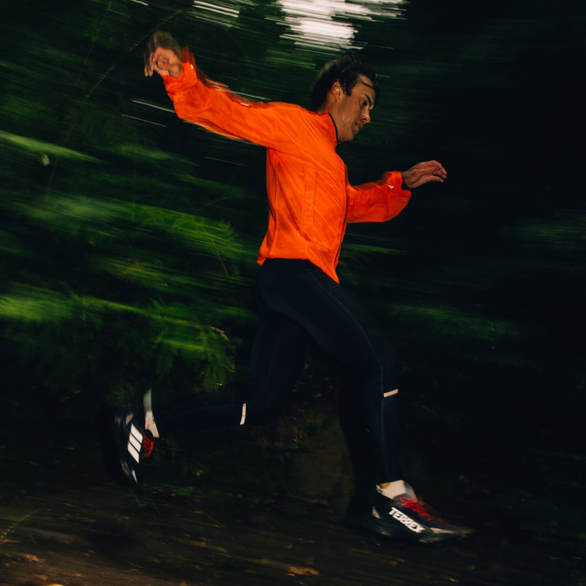 Terrex Agravic GORE-TEX Trail Running Shoes