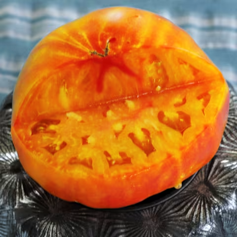 🍅 Gigante Farina – Cultivez la plus grosse tomate de votre vie !