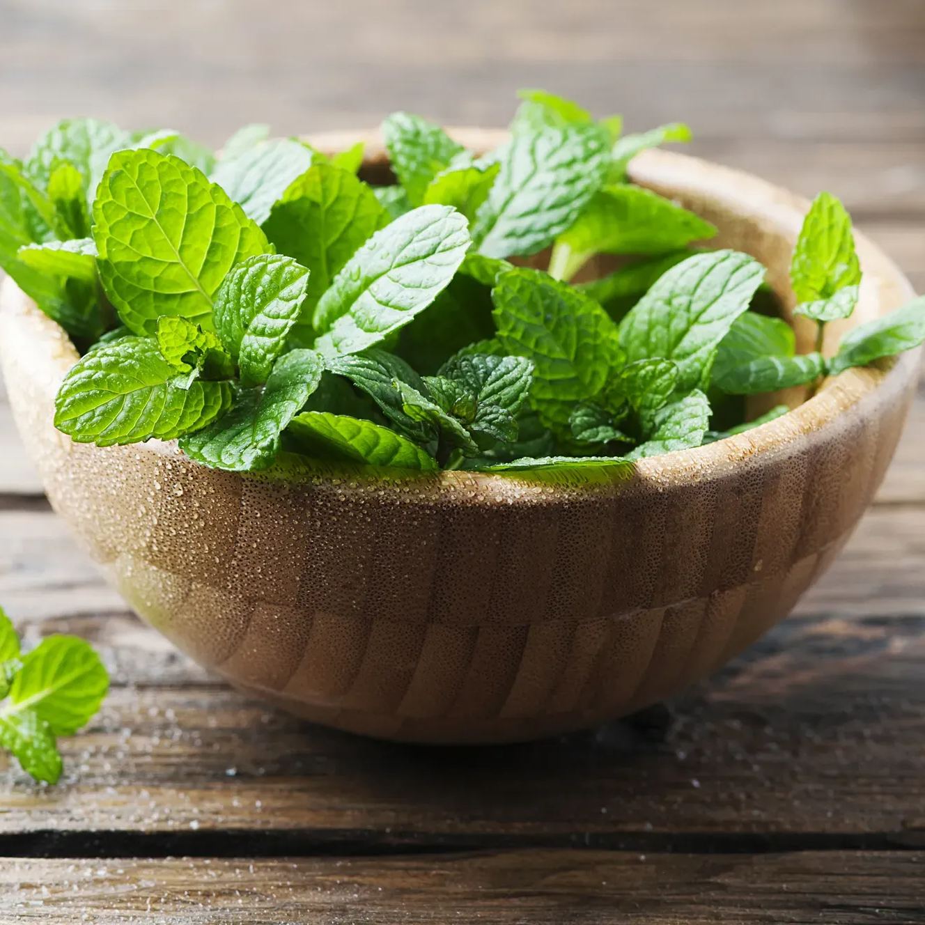 Graines de menthe à usage médicinal et comestible