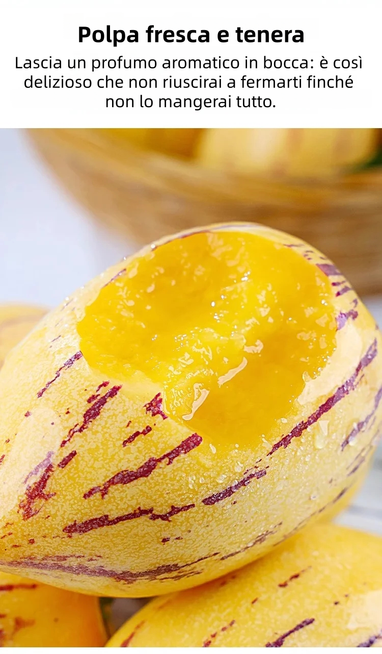 🎁30% Off🍐🍐Pepinos Seeds (Melon Pear)