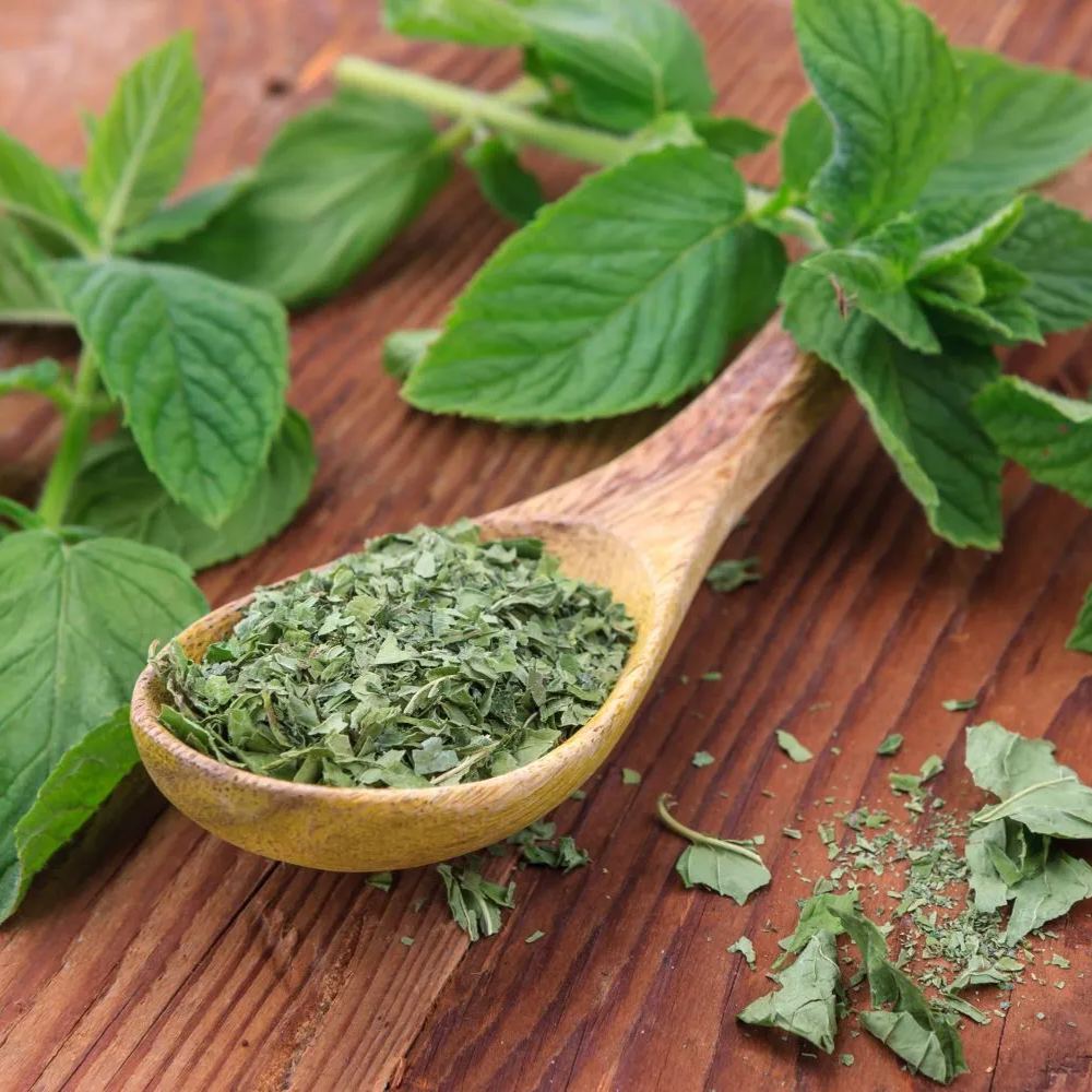 Graines de menthe à usage médicinal et comestible