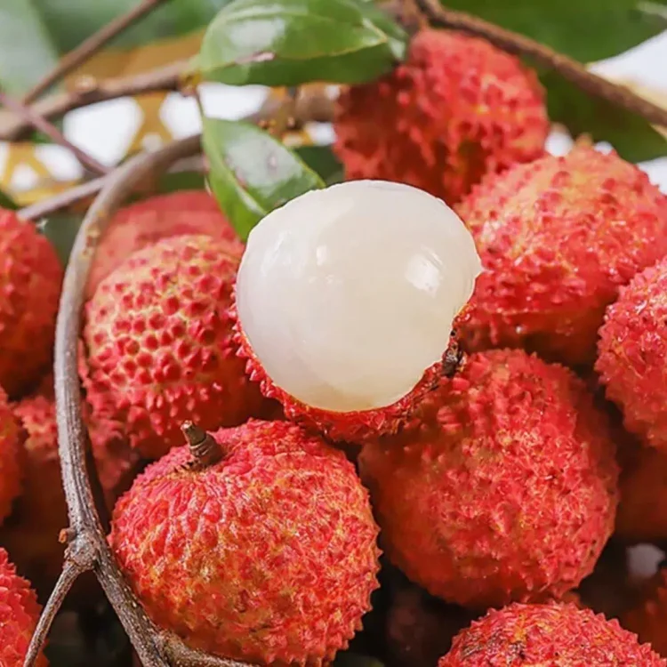 50 % de réduction🎁 Graines de Litchi Géant Sans Noyau ✨