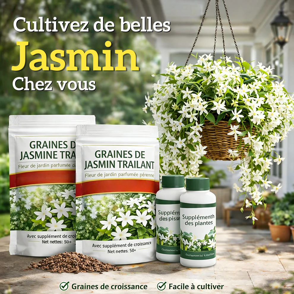 Jasmin Cascade « Symphonie florale »🌸