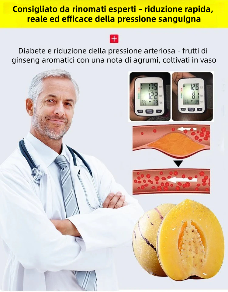 🎁Sconto del 30%🍐🍐Semi di pepino (pere melone)