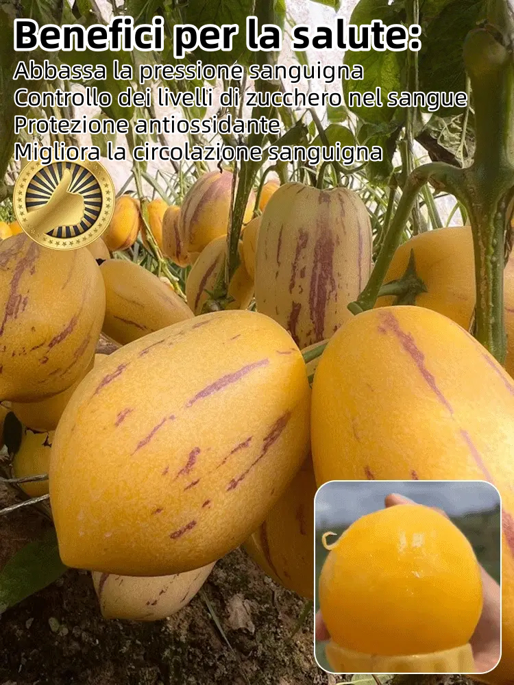 🎁Sconto del 30%🍐🍐Semi di pepino (pere melone)