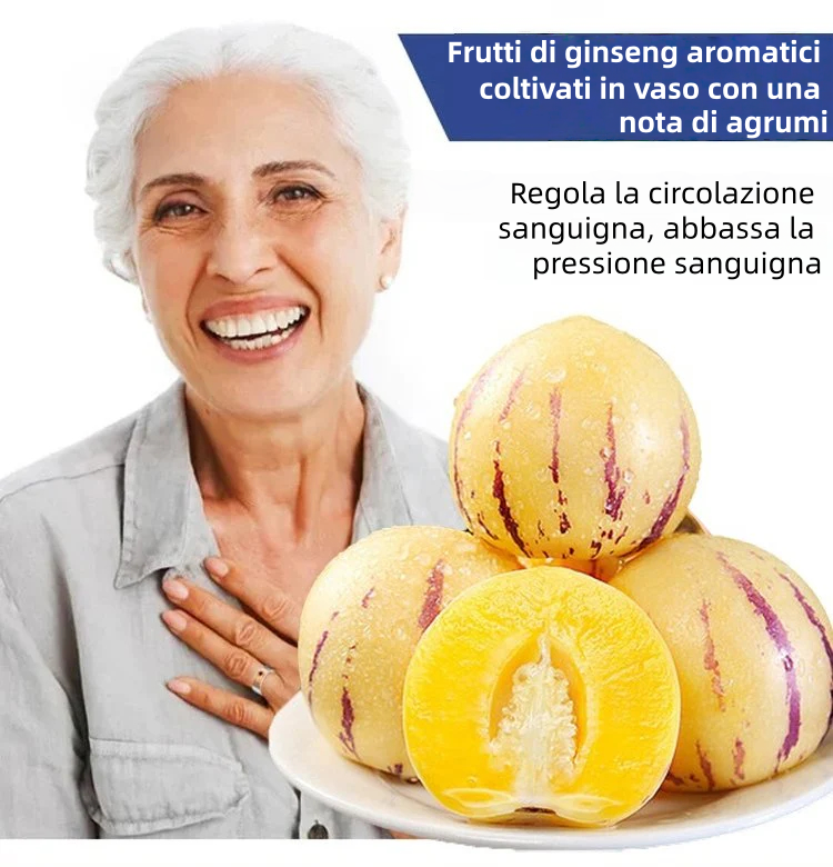 🎁Sconto del 30%🍐🍐Semi di pepino (pere melone)