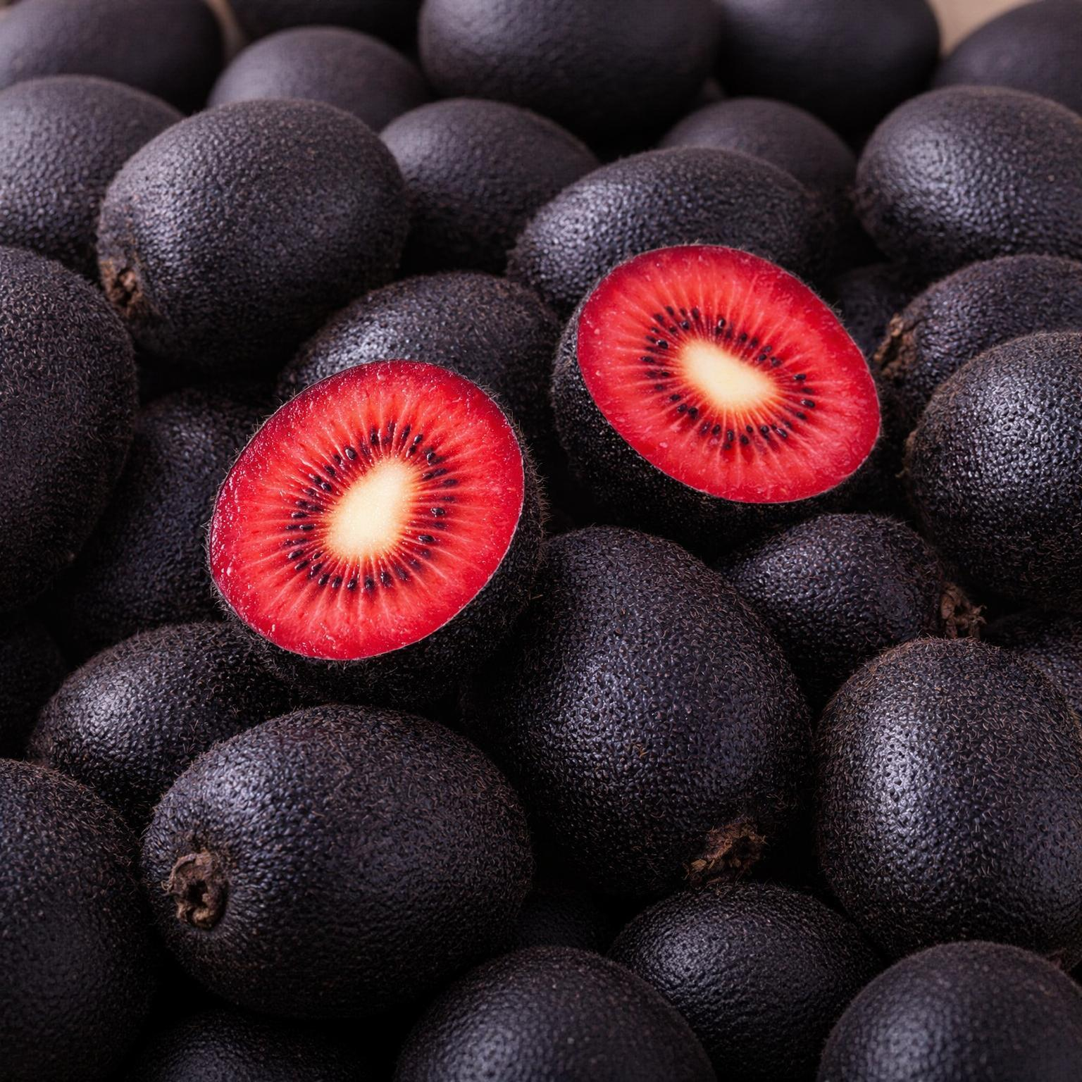 🥝Black Diamond Ruby Kiwi-Samen – Süß, nährstoffreich und einfach zu Hause anzubauen