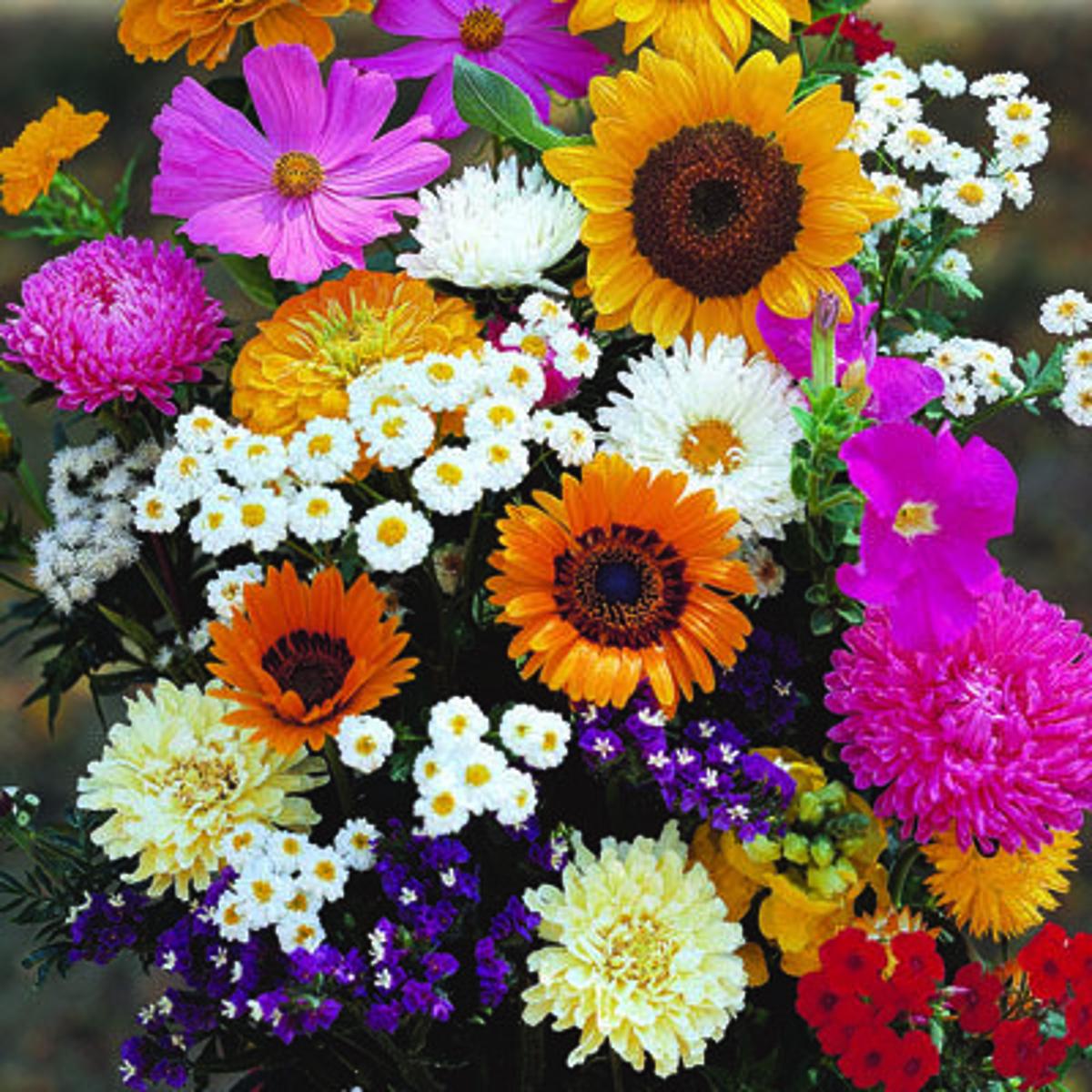 Flower Seeds
