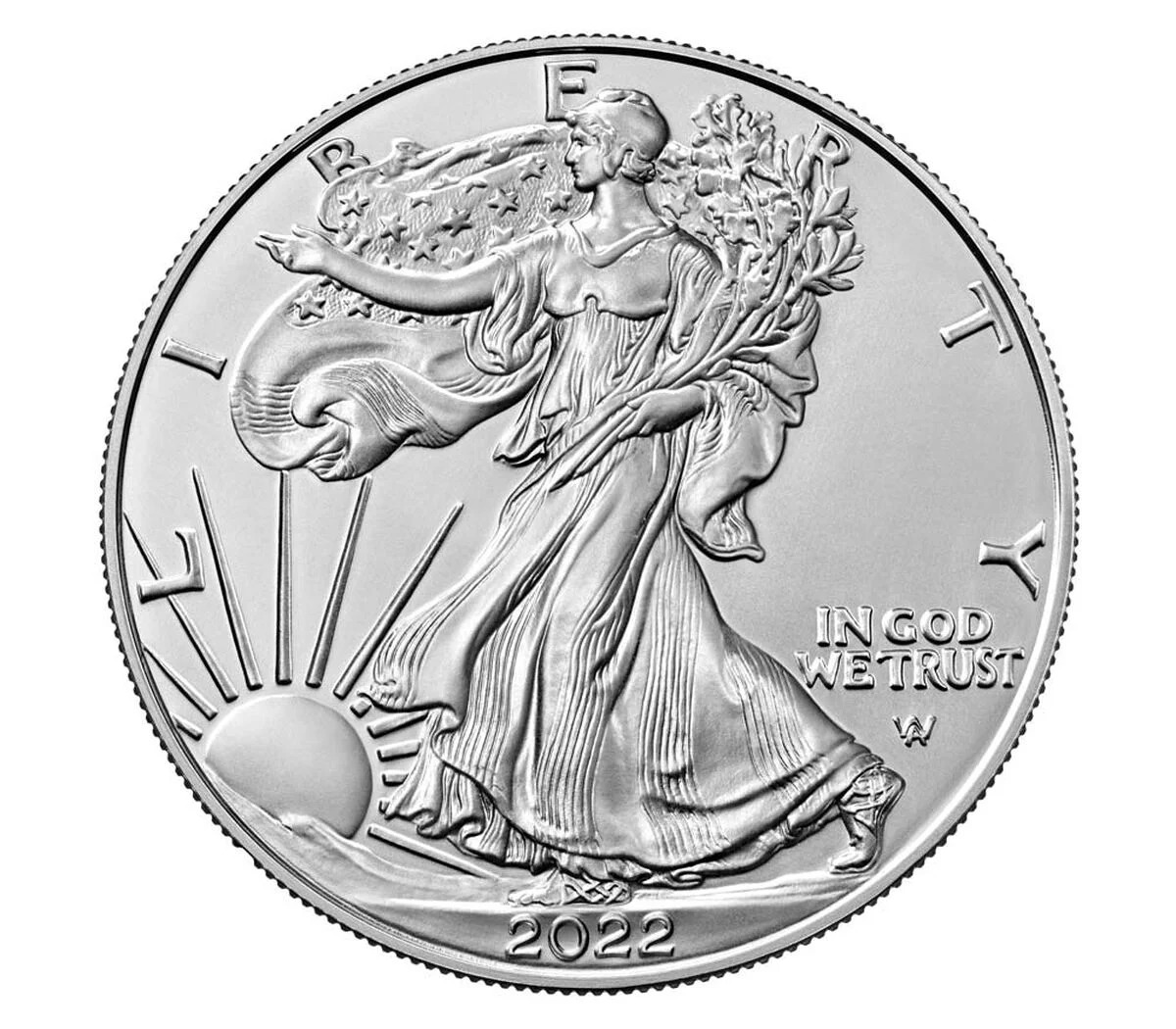 🔥Black Friday Frenzy-American Eagle 2022 One Ounce Silver Uncirculated Coin