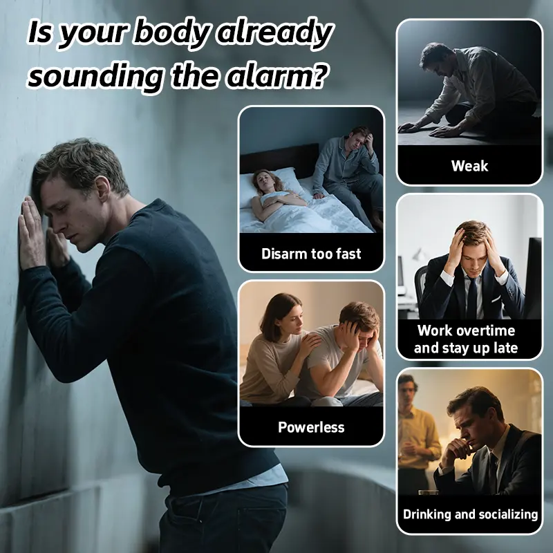 Kidney Tea Formula Ginseng Five Treasure Tea