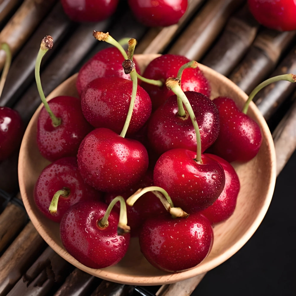 Black Cherry Plant Kit – American & Chilean Varieties for Home Garden