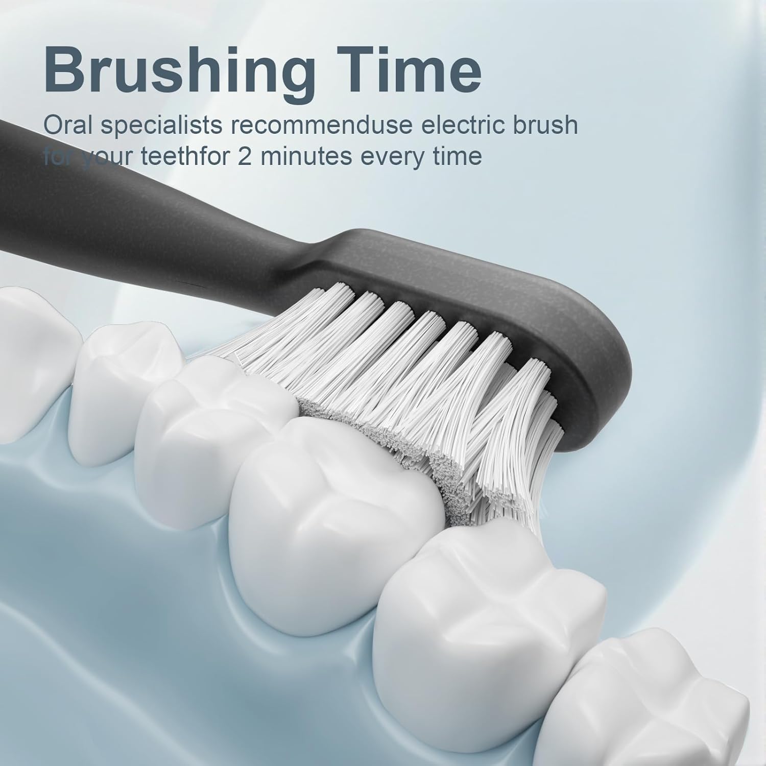 Electric Toothbrush Set with Drying & Sanitizing Holder, 8 Replacement Brush Heads, Transparent Rinse Cup, Smart Timer, USB Rechargeable for Adults