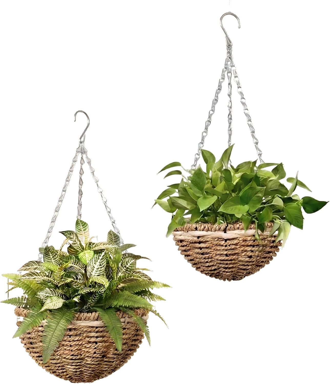 Plant Hanger Indoor