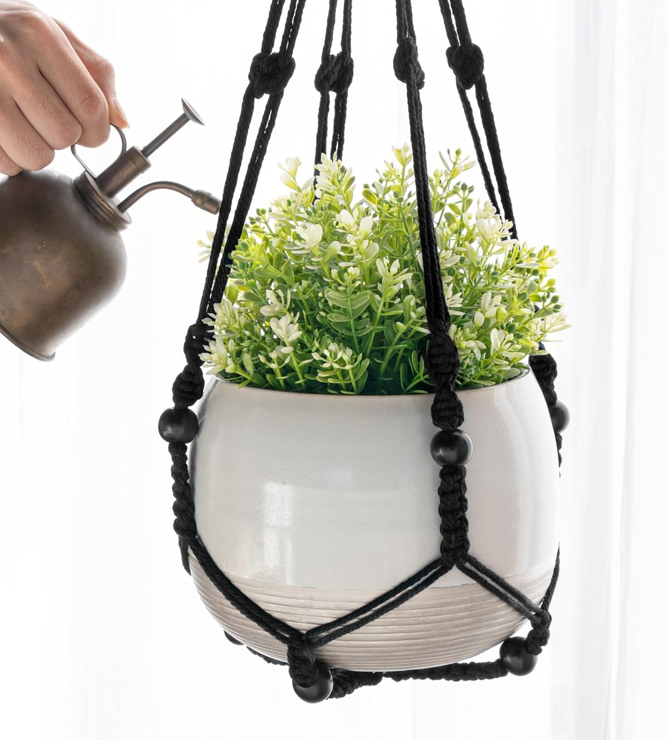 Plant Hangers