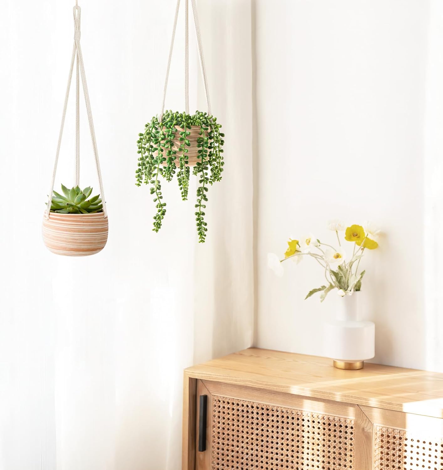 Ceramic Hanging Planter