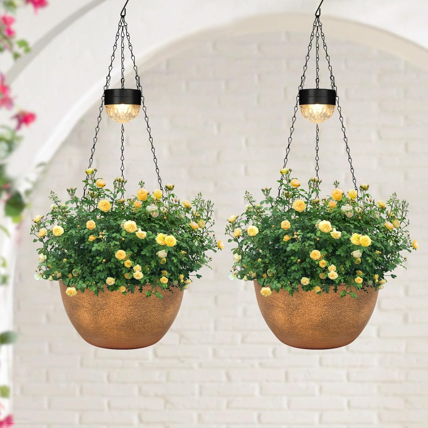 2 Packs Hanging Planters Basket
