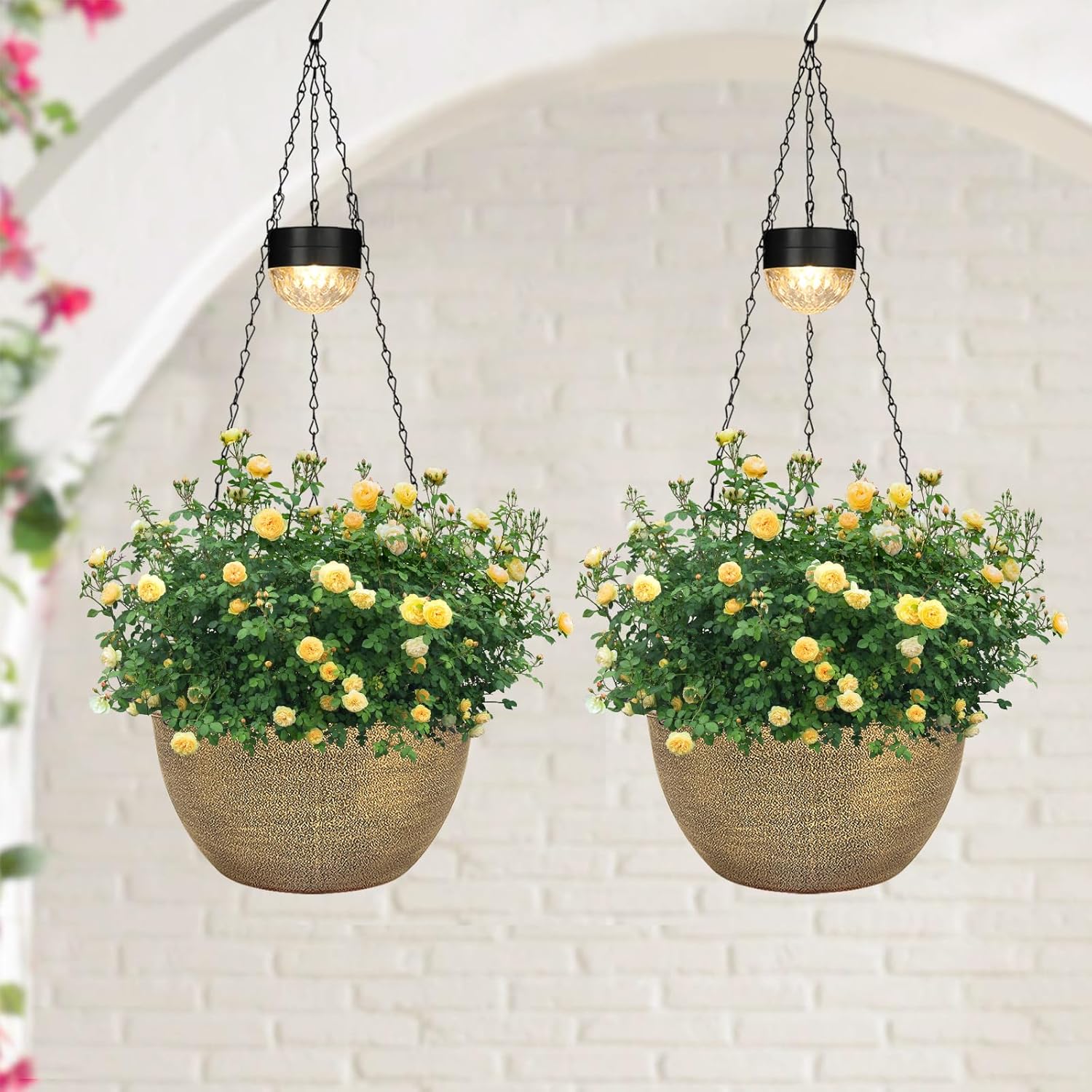 2 Packs Hanging Planters Basket