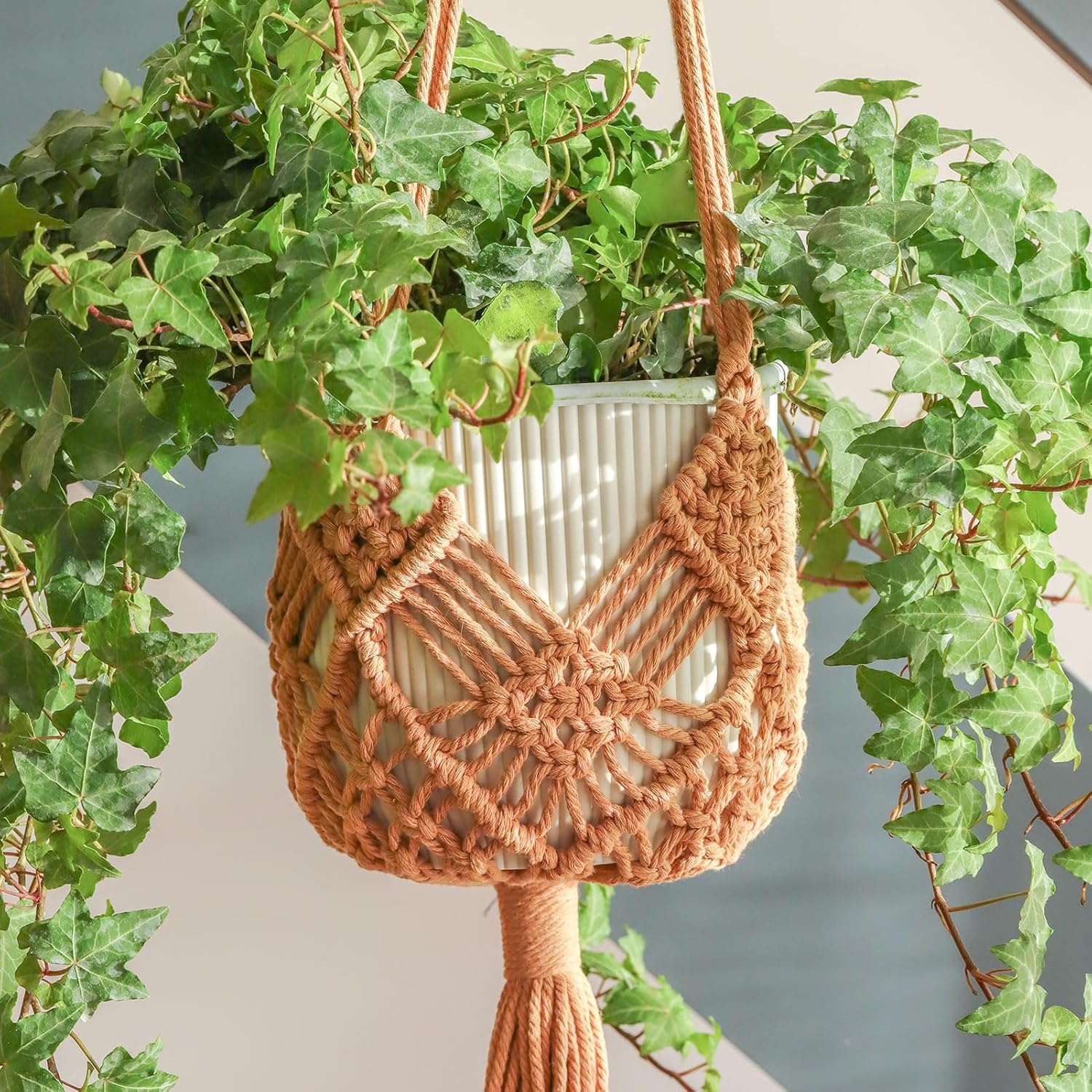 Hanging Planter with Patterns