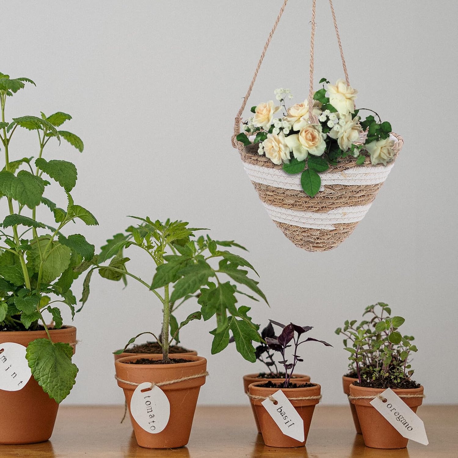 Woven Hanging Planter Basket for Balcony and Indoor Use
