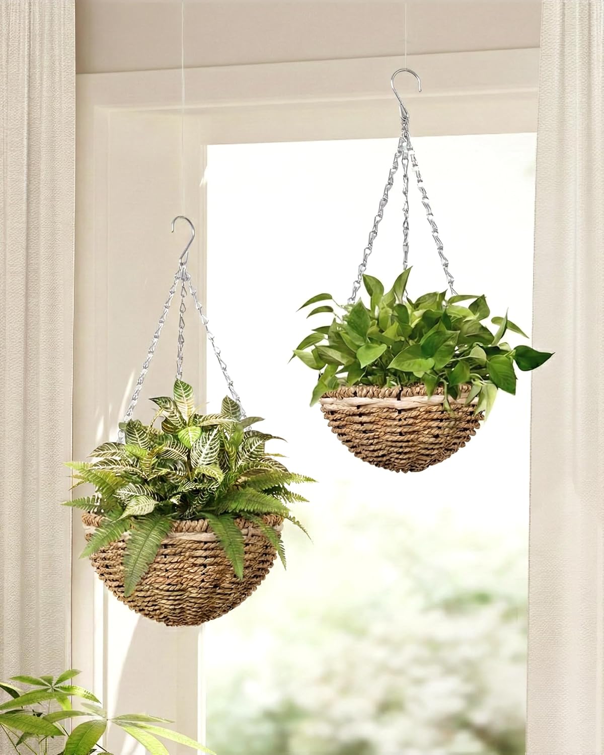 Plant Hanger Indoor