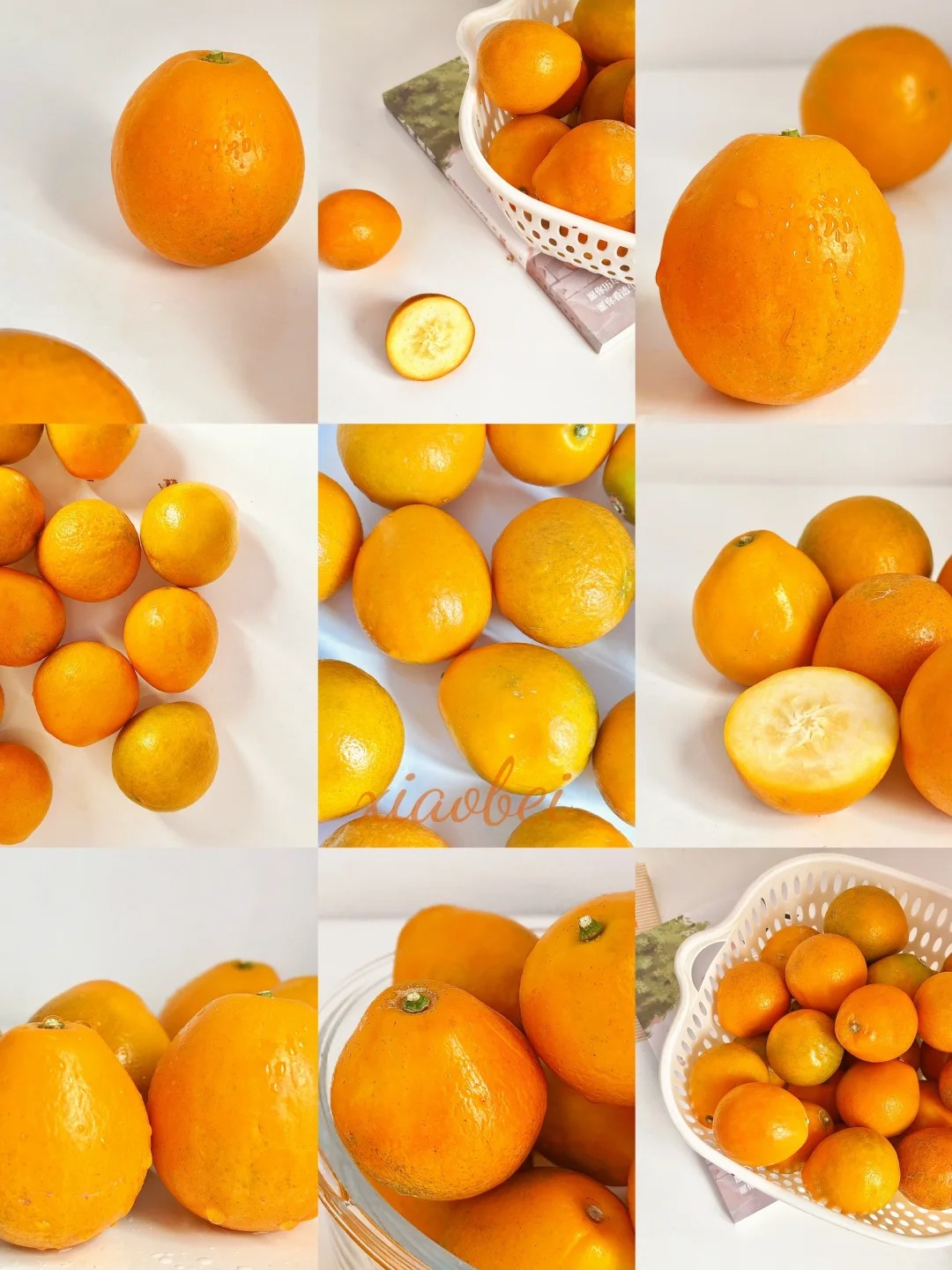 🍊 Graines de kumquat premium – Cultivez chez vous des agrumes nains 🍋, doux et parfumés 🌸✨