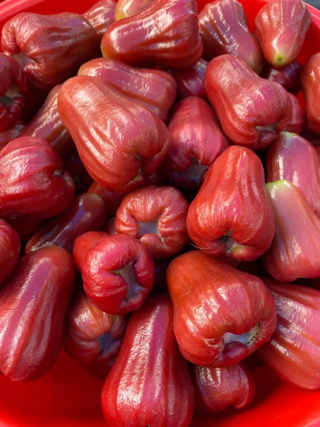 🍃 Graines de jamrosat : Faibles en sucre, juteuses à souhait, pour une douceur sans culpabilité