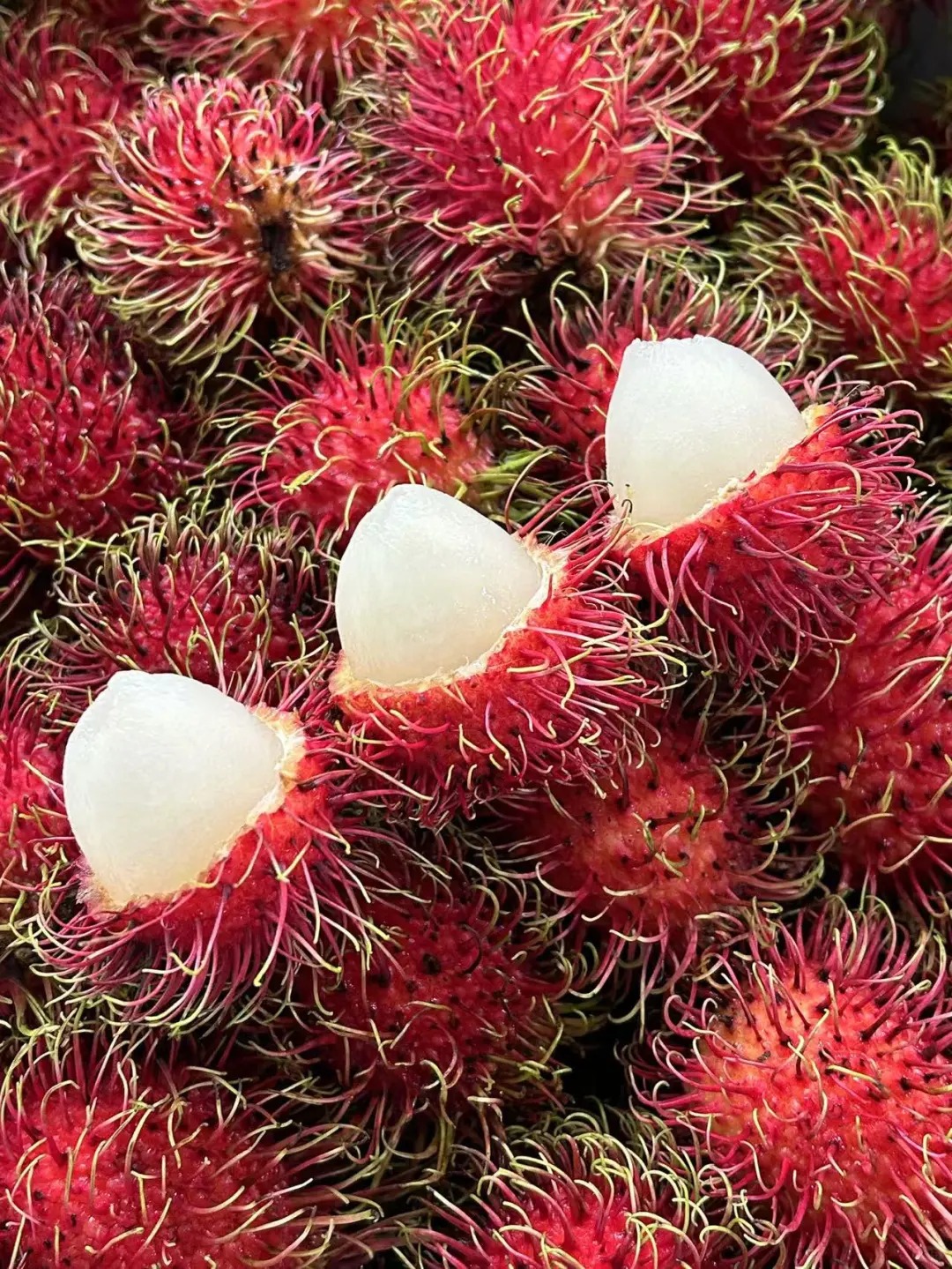 Rambutan | Fruit tropical exotique · Doux et juteux · Saveur rappelant le litchi 🍈🌴