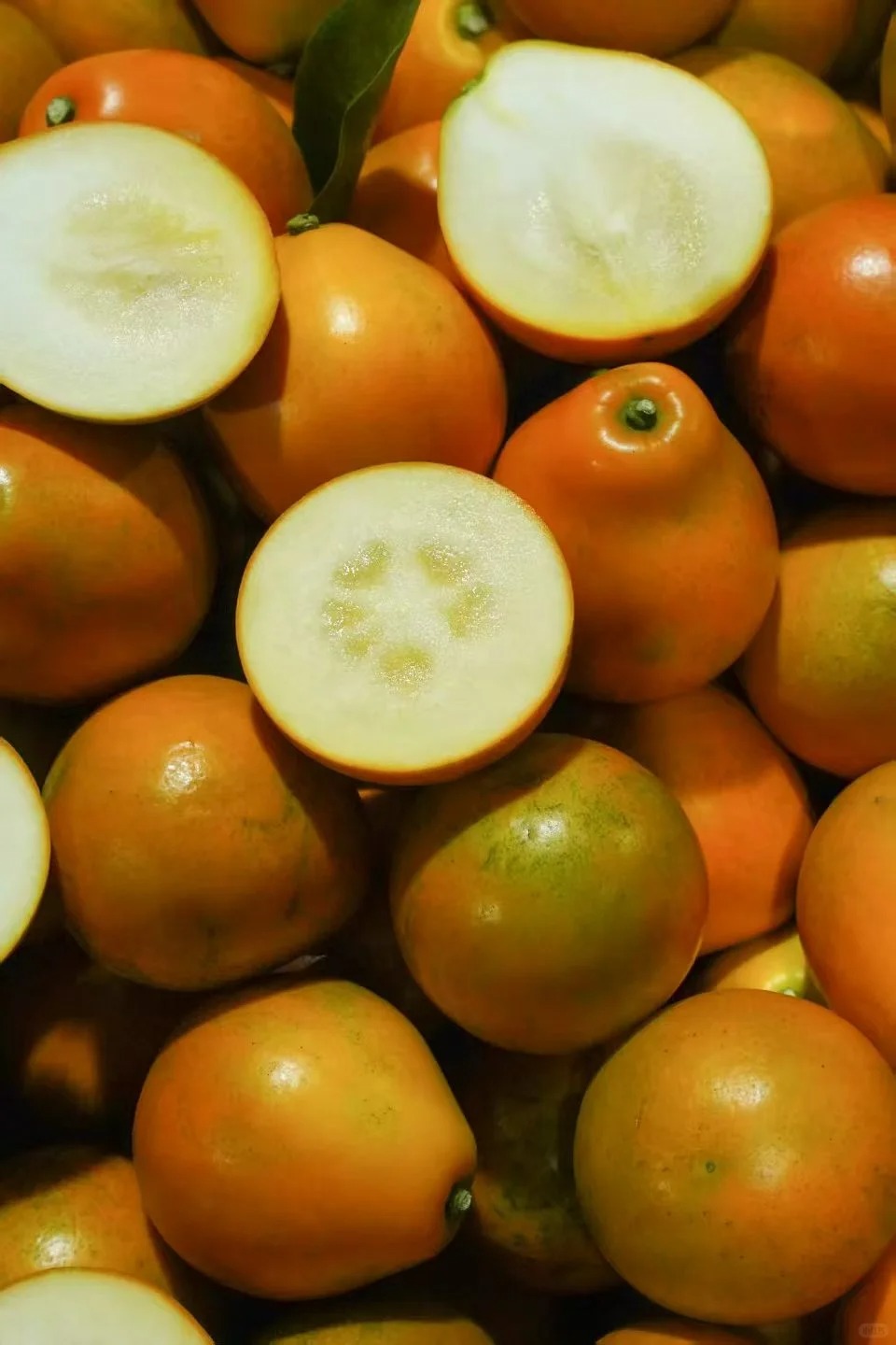 🍊 Graines de kumquat premium – Cultivez chez vous des agrumes nains 🍋, doux et parfumés 🌸✨