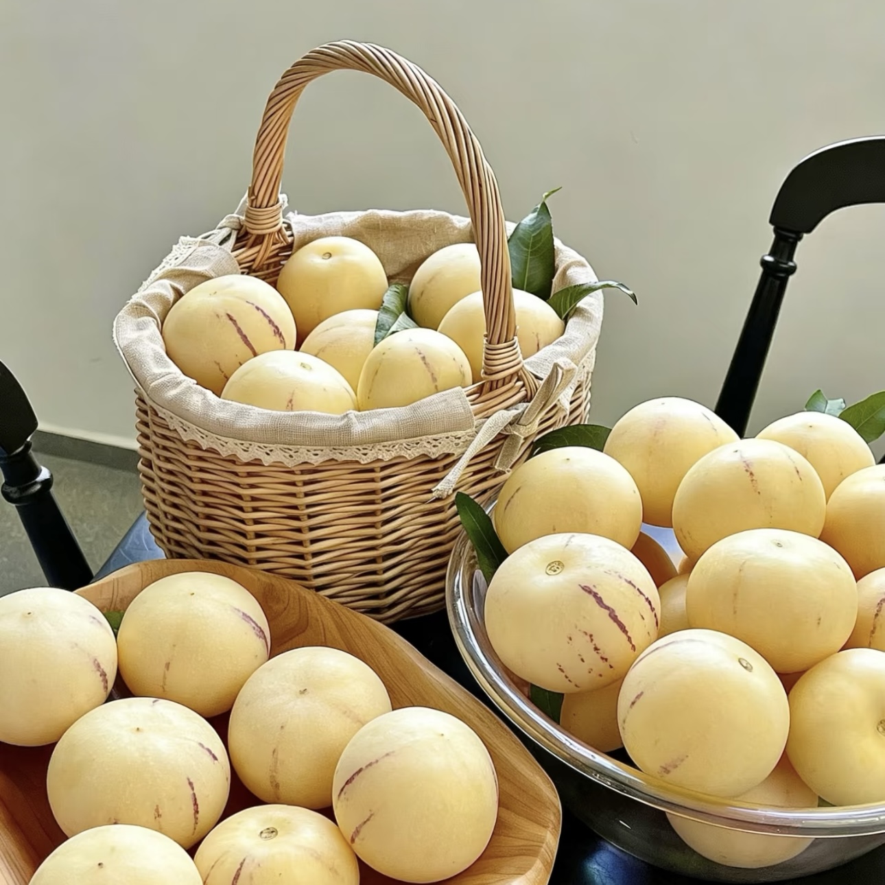 🌿 Graines de baies de ginseng — Faciles à cultiver 🌱