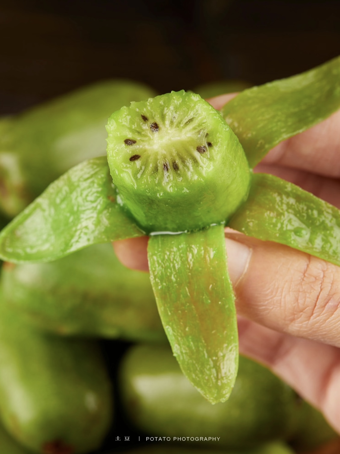 🥝 Kiwi berry · Plante ton propre mini-kiwi 🌱