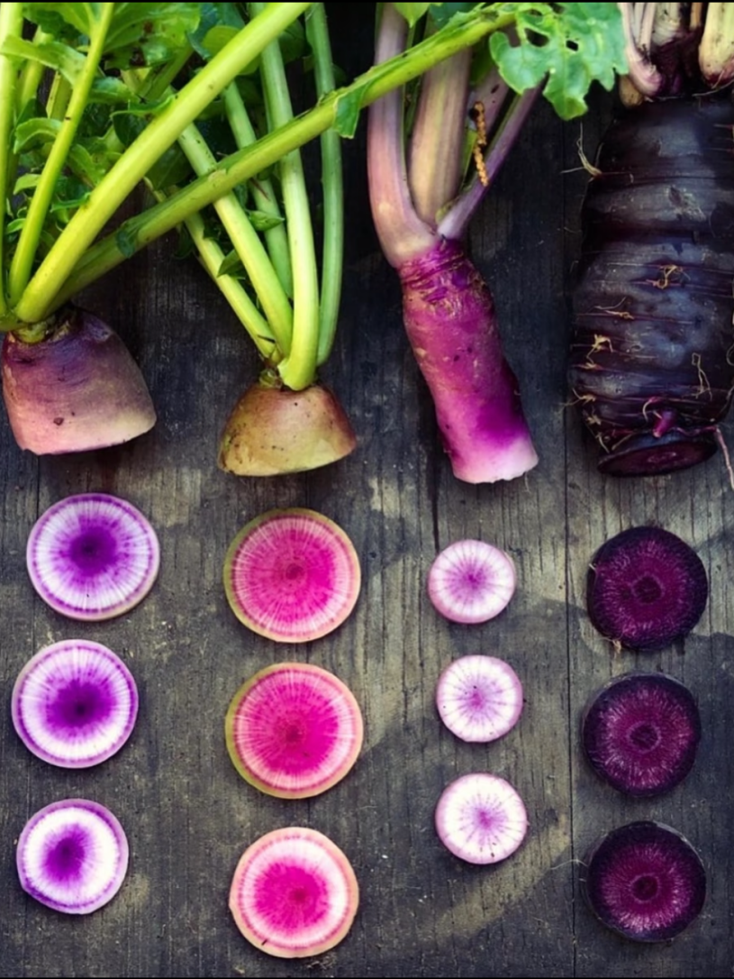 🥕 Carotte Jade Violet – Anthocyanes naturels, croquante et sucrée