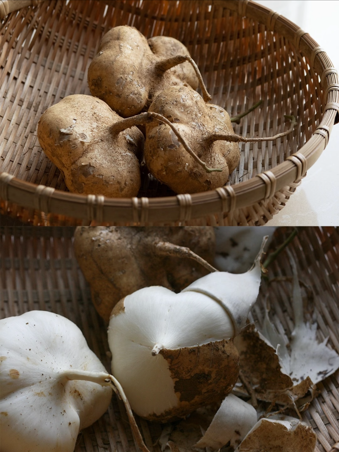 À cultiver chez soi — jicama croquant, juteux et naturellement sucré 🍠