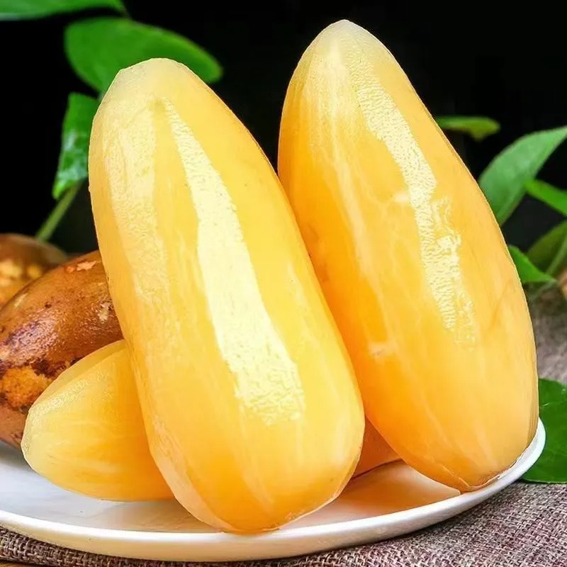 🌱 Graines de yacon bio – Peu sucré, bon pour le ventre 🦠