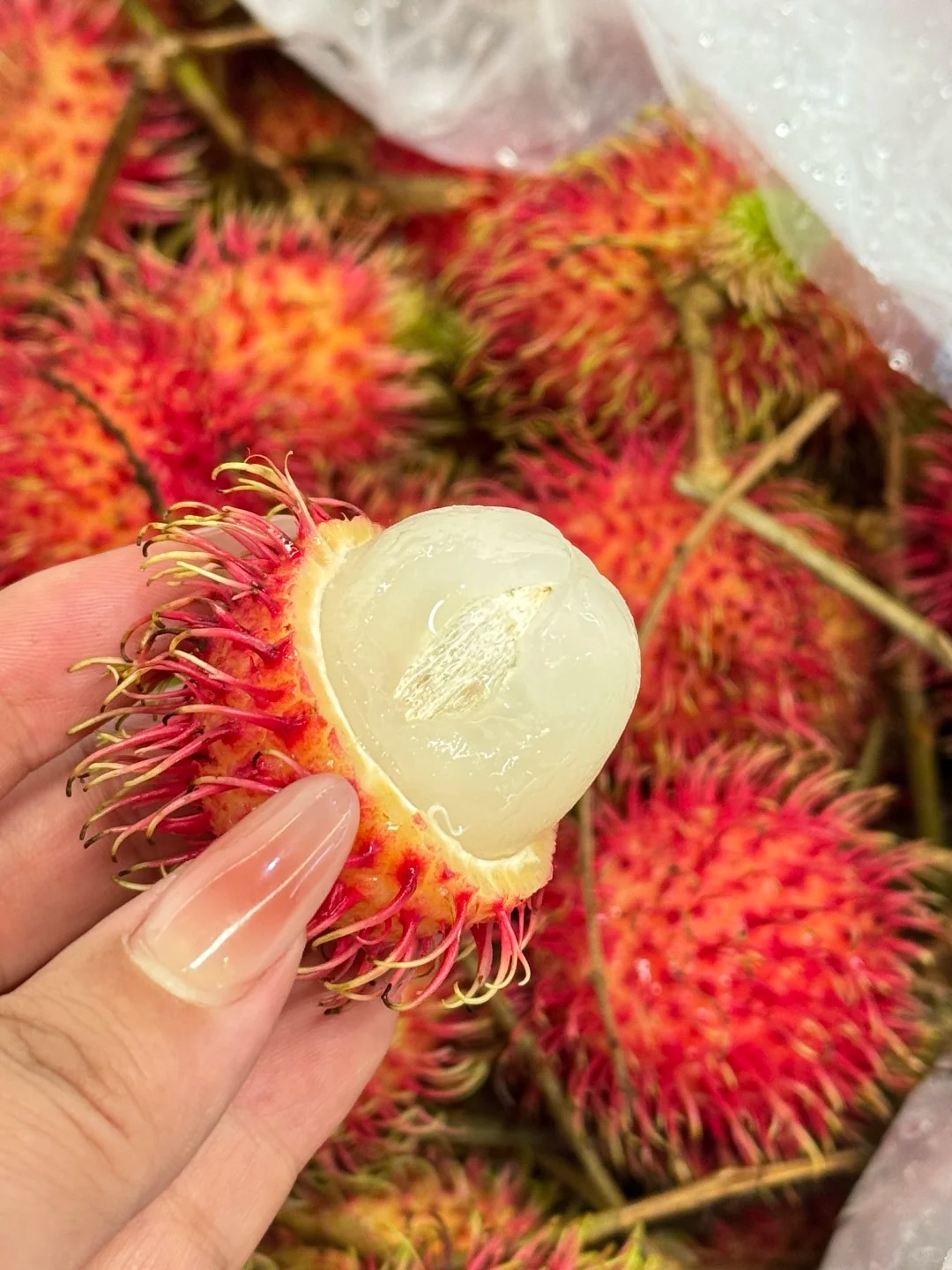 Rambutan | Fruit tropical exotique · Doux et juteux · Saveur rappelant le litchi 🍈🌴