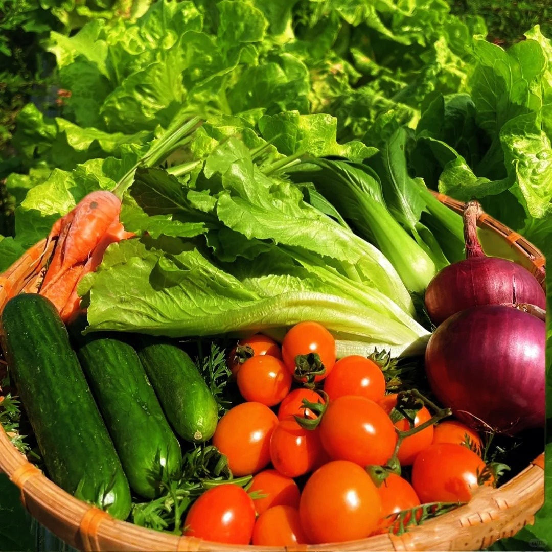 PLANTES POTAGÈRES